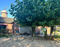 Herbstaktion im Kindergarten 'An der Windmühle 'Platanenschneiden und Neuanpflanzung'
